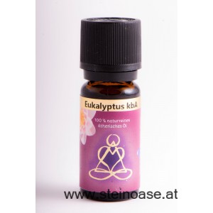 Ätherisches Öl -  10ml  Eukalyptus